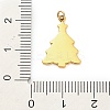 304 Stainless Steel Rhinestone Pendants LS-FIND-I062-01G-01-3