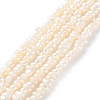 Natural Cultured Freshwater Pearl Beads Strands PEAR-I007-02O-02-2