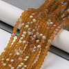 Transparent Glass Beads Strands X1-EGLA-A034-T4mm-MB02-2