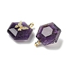 Natural Amethyst Faceted Pendants G-P585-01G-06-2