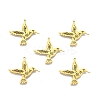 Ion Plating(IP) 201 Stainless Steel Pendants X-STAS-N098-099LG-2