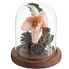 1Pc Glass Dome Cover AJEW-SC0002-60A-04-1