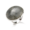 Natural Labradorite Round Adjustable Rings RJEW-K371-09S-15-2