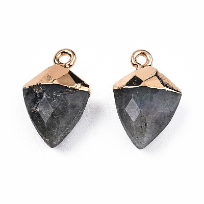 Natural Labradorite Pendants G-N326-134-03-1