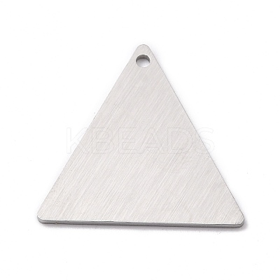 Tarnish Resistant 304 Stainless Steel Pendants STAS-F271-08E-P-1