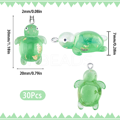 30Pcs Transparent Resin Pendants RESI-SC0002-72-1