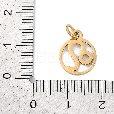 Ion Plating(IP) 304 Stainless Steel Charms STAS-R135-05G-10-1