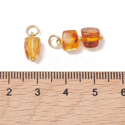 3Pcs 3 Styles Natural Amber Pendants PALLOY-JF05252-1