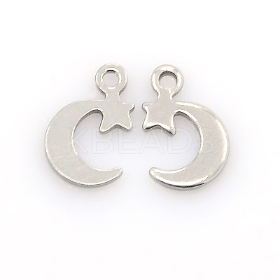 Tarnish Resistant 304 Stainless Steel Charms LS-STAS-J014-04-1