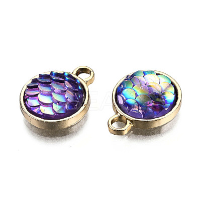 Alloy Resin Charms PALLOY-T056-24C-1
