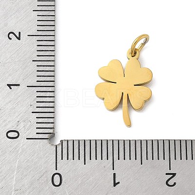304 Stainless Steel Charms LS-STAS-M120-07C-G-1