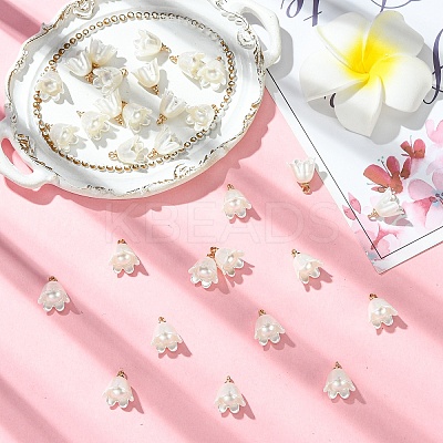 30Pcs Opaque Resin Imitation Pearl Charms FIND-YW0009-02-1