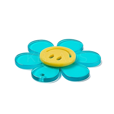 Transparent Acrylic Big Pendants LS-OACR-P012-A07-1