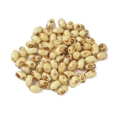 60Pcs 10G Baking Paint Picasso Glass Seed Beads GLAA-V001-06E-1