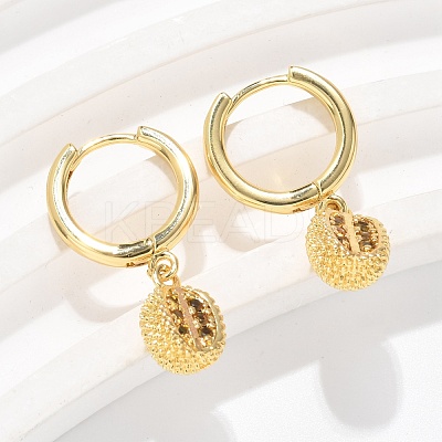 Brass Cubic Zirconia Hoop Earrings EJEW-Q015-01G-D-1