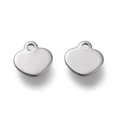 Non-Tarnish 304 Stainless Steel Charms LS-STAS-K195-14P-1