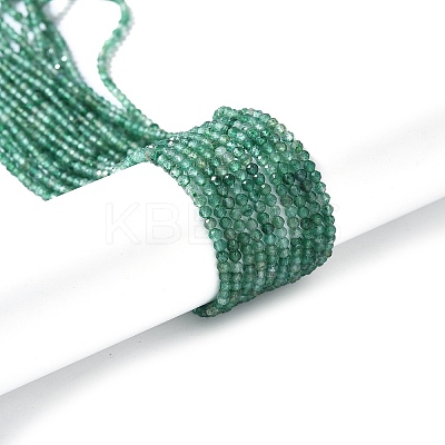 Natural Fuchsite Beads Strands G-C009-A27-01-1
