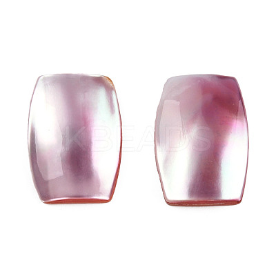 Natural Turbo Cornulus/Top Shells Cabochons SSHEL-N003-153B-1