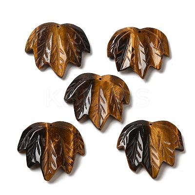 Natural Tiger Eye Carved Pendants G-K353-01J-1