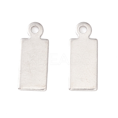 Non-Tarnish 304 Stainless Steel Charms STAS-P307-15C-P-1