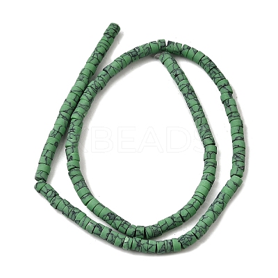 Dyed Synthetic Turquoise Beads Strands G-Z089-A04-J-1