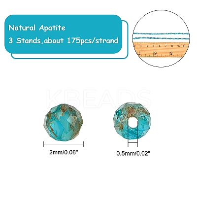 Natural Apatite Beads Strands G-AR0001-84-1