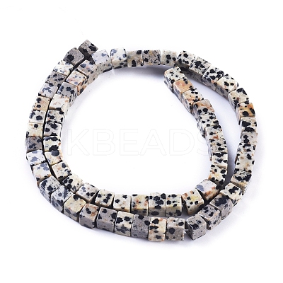 Natural Dalmatian Jasper Beads Strands G-D0020-14-1