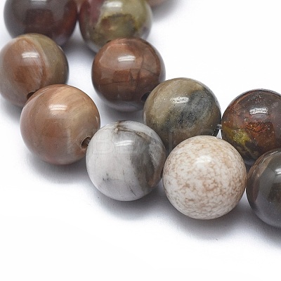 Natural Petrified Wood Beads Strands LS-G-I254-07B-1