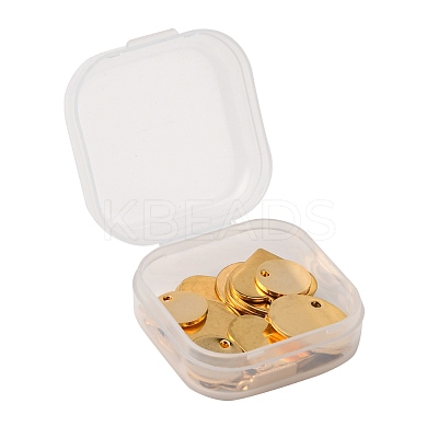 30Pcs 6 Style Ion Plating(IP) 304 Stainless Steel Charms STAS-FS0001-13G-1
