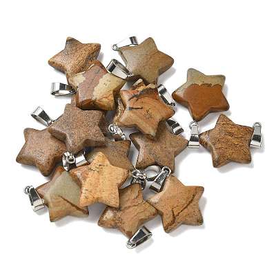Natural Picture Jasper Pendants G-B127-12P-06-1