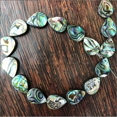 Paua Shell Bead Strands BSHE-WH0001-07-1