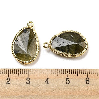 Natural Labradorite Faceted Pendants G-M431-14G-05-1