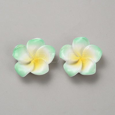 Two Tone Resin Cabochons LS-RESI-WH20010-01B-1