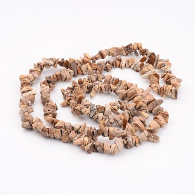 Natural Picture Jasper Chips Beads Strands X-F002-1