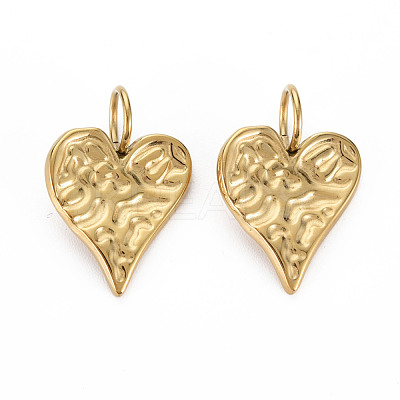 304 Stainless Steel Pendants STAS-N097-118LG-NR-1