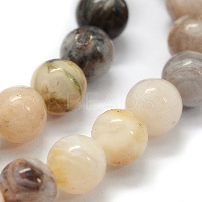 Natural Bamboo Leaf Agate Beads Strands G-G763-03-10mm-1
