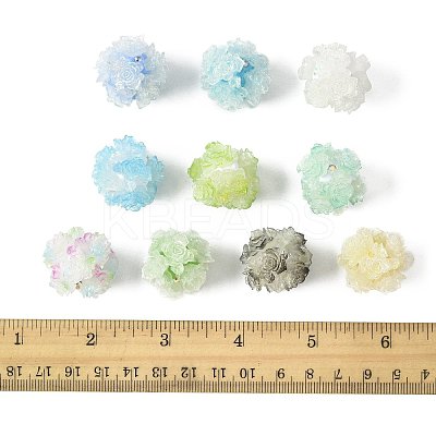 10Pcs 10 Colors Resin Beads RESI-FS0002-24A-1