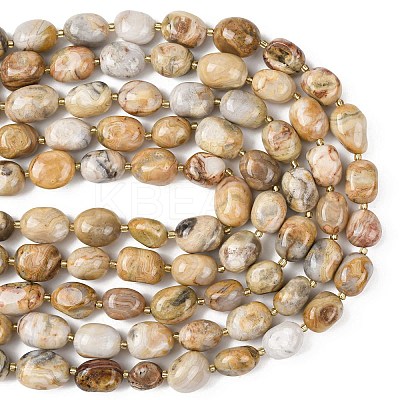 Natural Crazy Agate Beads Strands G-G453-D03-01-1