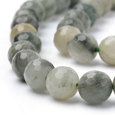 Natural Green Line Jasper Beads Strands G-Q462-102-6mm-1