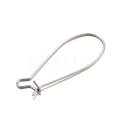 Tarnish Resistant 304 Stainless Steel Hoop Earrings STAS-D429-64-1