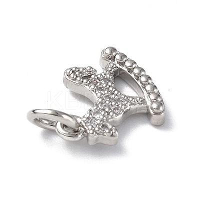 Brass Micro Pave Cubic Zirconia Charms ZIRC-F131-24P-1