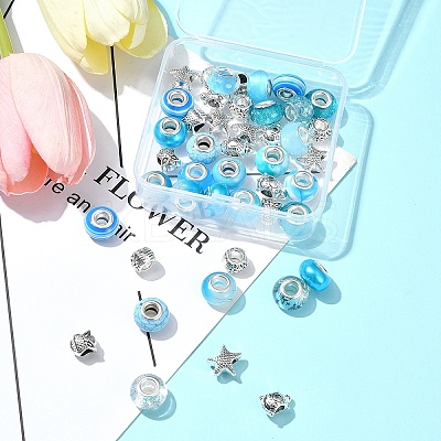 DIY Tibetan Style Alloy & Resin European Beads Making Finding Kits DIY-FS0006-78F-1