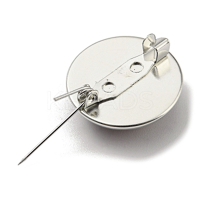 Round Glass Brooches FIND-Q096-01G-1
