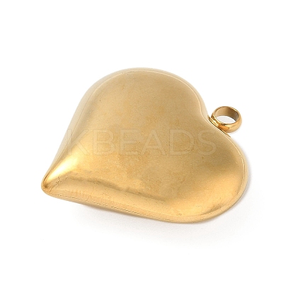 304 Stainless Steel Pendants STAS-S186-06B-G-1