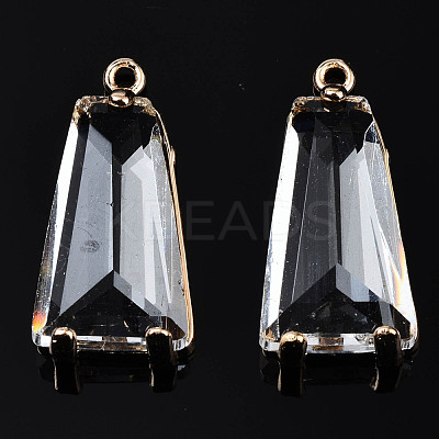 Transparent Glass Pendants X-GLAA-Q088-024B-1