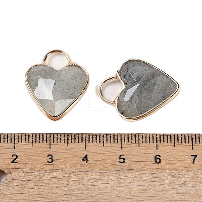Natural Labradorite Faceted Pendans KK-L218-005G-03-1