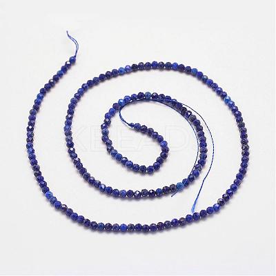 Natural Lapis Lazuli Bead Strands G-P279-53-2mm-1