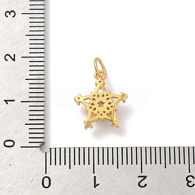 925 Sterling Silver Pave Clear Cubic Zirconia Pendants STER-G049-01B-G-1