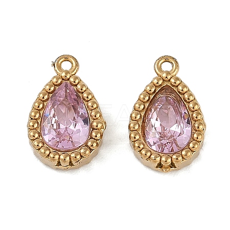 Ion Plating(IP) 304 Stainless Steel Micro Pave Cubic Zirconia Charms STAS-K256-20G-06-1