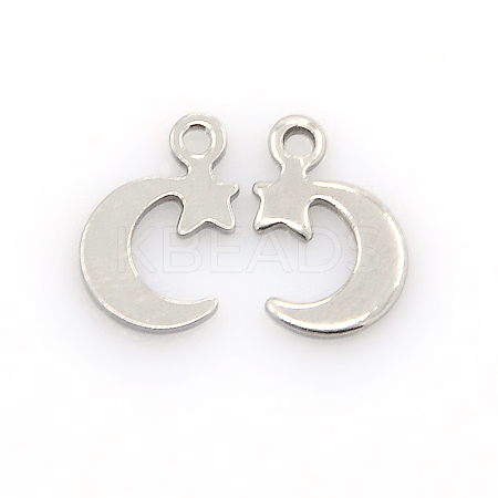 Tarnish Resistant 304 Stainless Steel Charms LS-STAS-J014-04-1